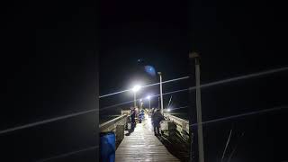 Seawolf Pier [upl. by Aaronson899]