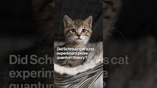 Did Schrödinger’s Cat Experiment Prove Quantum Theory [upl. by Inait185]