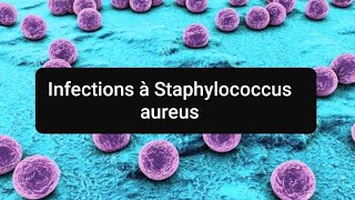 Staphylocoque doré traitement infectiologie et prévention [upl. by Adamis]