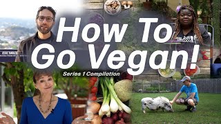 HOW TO GO VEGAN Becoming Vegan Series 1 Compilation 23 Vegan Perspectives [upl. by Grimonia]