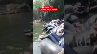 Gua Pindul ajakin keluarga buat ke sana rafting goapindul liburan seru fyp [upl. by Past]