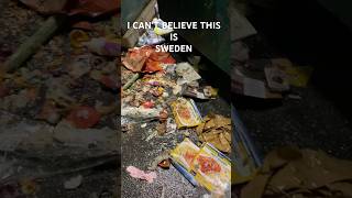 OMG 😱WHAT CAN WE DO  IS SWEDEN THIS DIRTY  MY SWEDISH LIFE [upl. by Annat]