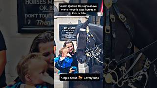 tourist ignores the signs above where horse is says horses m kick or biteviralvideo shorts [upl. by Anilec]