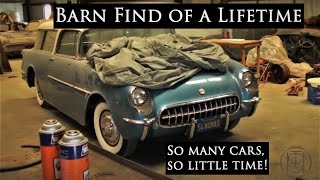 Incredible Collection Barn finds of a lifetime [upl. by Annaihr]