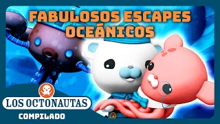 Los Octonautas  🌊 Fabulosos escapes oceánicos 🛟  Episodios Completos  Compilado [upl. by Yevad]