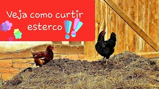 Como preparar o esterco bovino para adubar suas plantas corretamente [upl. by Bowie]