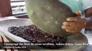 Concassage des fèves de cacao torréfiées [upl. by Ennaillij574]