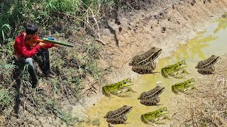 Hunting Frogs With Bamboo Gun Using Gasoline [upl. by Neret]