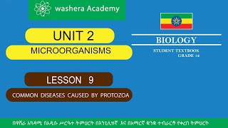 BIOLOGY GRADE 12 UNIT 2 LESSON 9 COMMON DISEASES CAUSED BY PROTOZOA [upl. by Jun844]