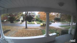 Package Thief in Omaha [upl. by Joh]