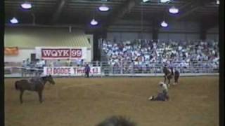 Calf Roping  Southeastern Circuit Finals Rodeo  1988 [upl. by Celeski]