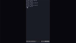 01 Linux Shell Echo Command [upl. by Hannahoj716]