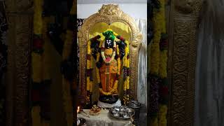 Srinivasa Govindadevotional [upl. by Zap]