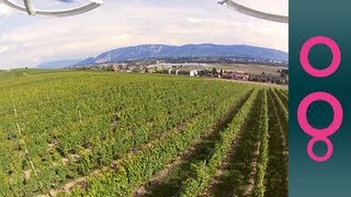 Wine meets technology with satellites and drones [upl. by Huai]