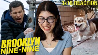 Cheddar A Criminal Mastermind Brooklyn NineNine 3x18 Reaction [upl. by Nisbet]