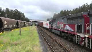 5194 at sandgate 10 43 with CM3312 PHC001 PHC002 on 11 11 24 [upl. by Sweatt]