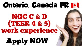 Ontario PNP  OINP Employer Job Offer In Demand Skills Stream  Canada PR 🇨🇦 [upl. by Skippy]