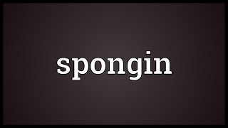 Spongin Meaning [upl. by Kera]