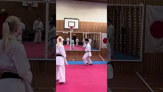 ToyamaSensei demonstrating a part of kata bassaidai [upl. by Ozan]