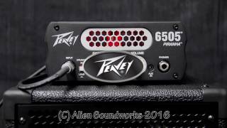 Peavey 6505 Piranha Sound Preview [upl. by Finn]