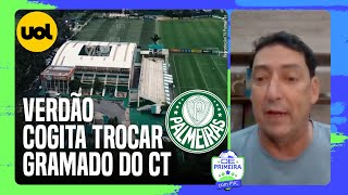 PVC PALMEIRAS COGITA A TROCA DO GRAMADO SINTÉTICO DA ACADEMIA DE FUTEBOL [upl. by Hynes]