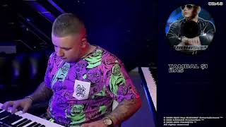 PIANISTU  Țambal și bas 👉 LIVE 👈 [upl. by Aara]