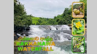 Rakkanawa waterfall  Deraniyagala srilanka 🇱🇰  රක්කනාව ඇල්ල [upl. by Tasia]