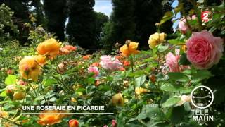 Roseraie de Morienval en Picardie 2014 07 11 France 2 HD [upl. by Khan295]