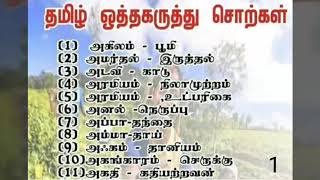 Tamil  Same Meaning and Different Words [upl. by Thurman53]