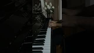 Chopin  Prelude in E Minor piano classicalmusic chopin [upl. by Yehs353]