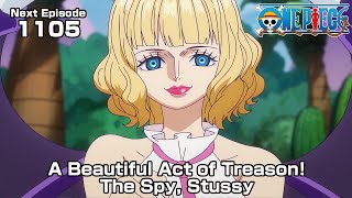 ONE PIECE episode1105Teaser quotA Beautiful Act of Treason The Spy Stussyquot [upl. by Ybbob]