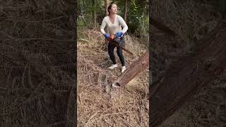 Traditional way to cut tree wood [upl. by Pollack]