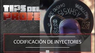 Codificación de inyectores  Tips del Profe [upl. by Aihseuqal]