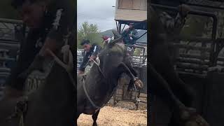 Gallito De Oaxaca va El chapulín Ramcho 702 🇲🇽🇺🇸🤠 rodeo [upl. by Marguerite775]