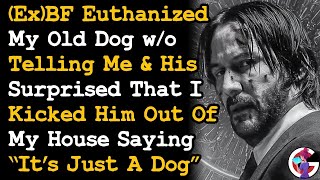 Kicked Ex BF Out For Euthanizing My Old Dog wo Telling Me amp He Just Says quotIts Just A DogquotAITA [upl. by Meeker]