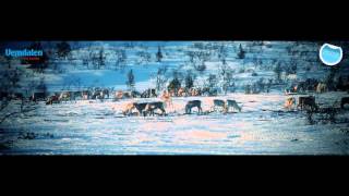 Vemdalen  Cross Country Skiing [upl. by Gilmer]