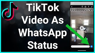 MUSICALLY IS NOW TIK TOK UPDATE REVIEW NEW [upl. by Gilroy129]