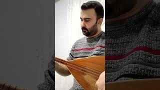 Edremitin Gelini Bağlamatürkülerınstrumentalmusictrendinglikenewsongreels [upl. by Nollahp]