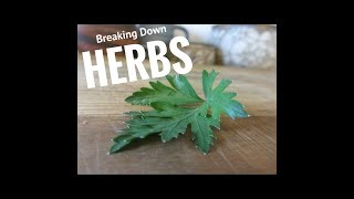 Breaking Down Herbs [upl. by Andri589]