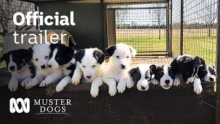 Muster Dogs Season 2 Official Trailer  ABC Australia [upl. by Sulamith332]