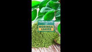 6 Benefits of Moringa Leaves 🌿 that can Boost Your Health [upl. by Aronos]