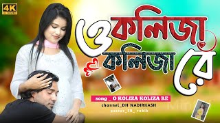 ও কলিজা কলিজা রে I o kolija kolija re  Larjina parbin notun koster gaan [upl. by Garibull]