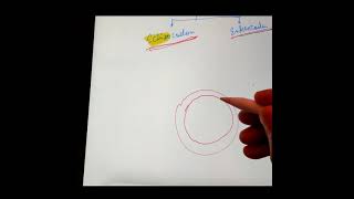 Difference between Schizocoelom and Enterocoelom AnimalKingdom [upl. by Aiuqcaj]