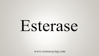 How To Say Esterase [upl. by Arabela]