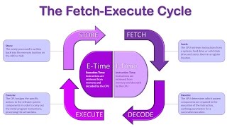 The Fetch Execute Cycle [upl. by Sucramad775]