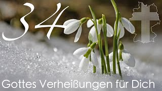 Gottes Verheißungen für Dich  Römer 211  Videokalender 34365  Deutschland braucht JESUS [upl. by Warthman]