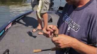 Bass Utopia Show 7 Part 2  Flipping Milfoil for Mid Summer Bass with Brad Leuthner [upl. by Nnaeitak]