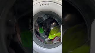 HOTPOINT WASHING MACHINE DOOR ALMOST FLIES OFF [upl. by Ashatan]