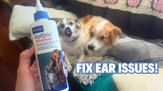 Virbac EpiOtic Advanced Ear Cleanser for Dogs amp Cats  Treating Yeast Bacteria and Wax for Dogs [upl. by Wolsniw]