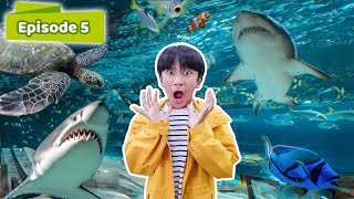 ZIYAN LIHAT IKANIKAN BESAR DI JAKARTA AQUARIUM  Belajar Bermain Seru Eps 6 [upl. by Fira]